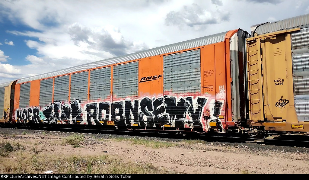 BNSF 28492 TTGX 694731 Con Grafiti 